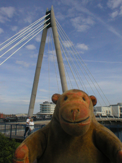 Mr Monkey looking at the Marine Way bridge