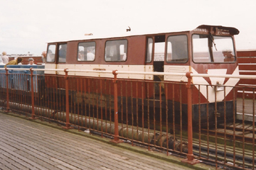 English Rose at the end of the pier