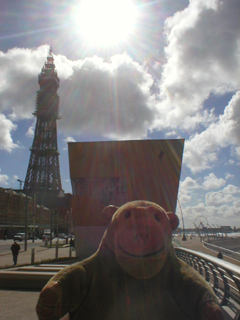 Mr Monkey looking at the Festival House and the Tower