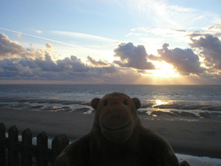 Mr Monkey watching the sun go down