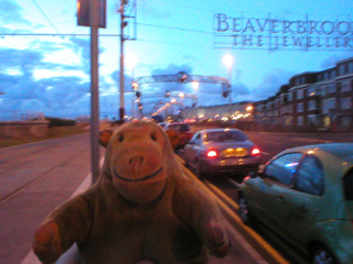Mr Monkey watching traffic queue at Starr Gate