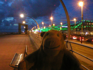 Mr Monkey watching cars going through the Illuminations
