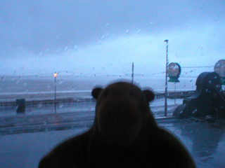Mr Monkey watching early morning rain from his hotel