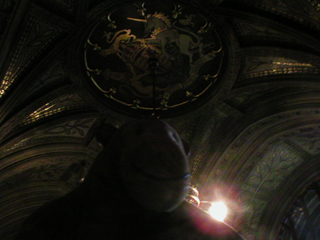 Mr Monkey looking up at the ceiling of the entrance of the Town Hall