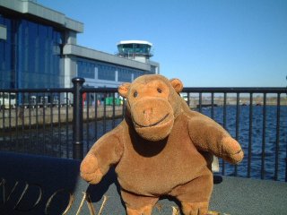 Mr Monkey on a muzzle loading cannon