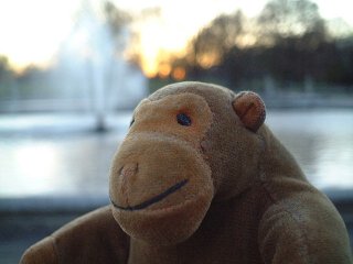 Mr Monkey with the sun going down over a fountain