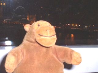 Mr Monkey inside a London Eye pod