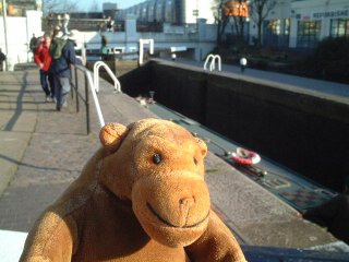 Mr Monkey watching a narrowboat in a lock