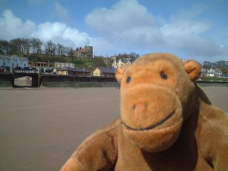 Mr Monkey on a beach