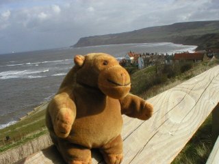 Mr Monkey looking down on a small village