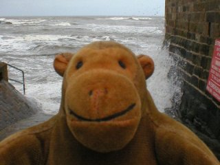 Mr Monkey fleeing waves breaking on a house wall