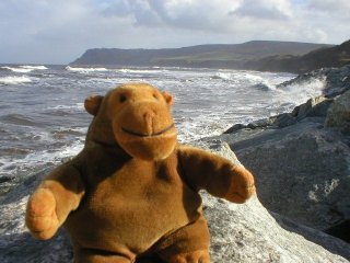 Mr Monkey on a rock by a rough sea