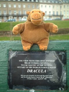 Mr Monkey on Dracula's bench - click here for monkey after dark!