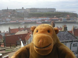 Mr Monkey looking down from the top of the steps