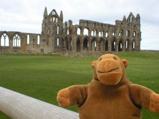 Mr Monkey in front of the South side of Whitby abbey