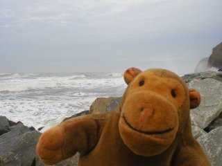 Mr Monkey and waves breaking below the abbey headland