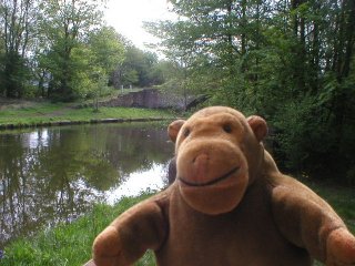 Mr Monkey by a canal