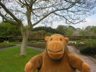 Mr Monkey in a walled garden