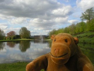 Mr Monkey at the South end of the Canal Pond