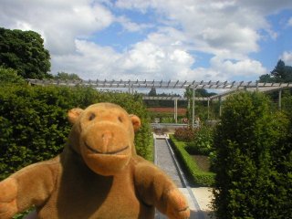 Mr Monkey in a walled garden