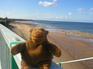 Mr Monkey on the promenade railings