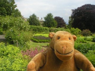 Mr Monkey in a garden