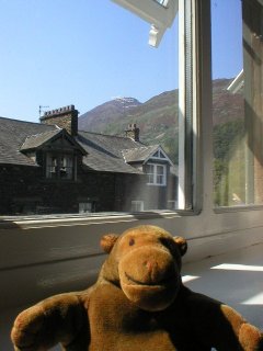 Mr Monkey looking out of his hotel window in Glenridding