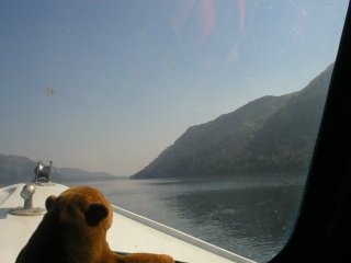 Mr Monkey looking out over the prow of the boat