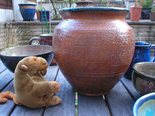 Mr Monkey examining a large salt glazed pot