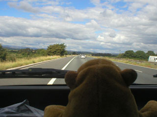 Mr Monkey on a motorway