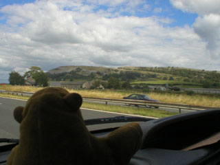 Mr Monkey looking at hills beside the motorway