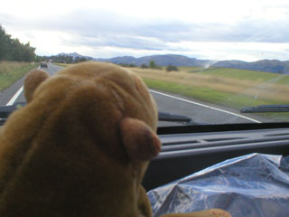 Mr Monkey driving along a Scottish road
