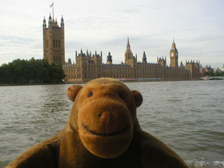 Mr Monkey on the Thames, looking at Parliament