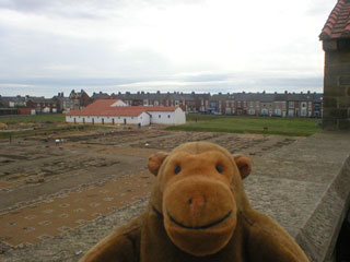 Mr Monkey looking across the Arbeia site