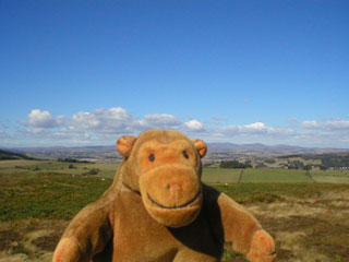 Mr Monkey in a hillfort