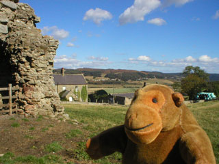 Mr Monkey at Tosson Tower