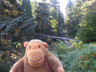 Mr Monkey looking down at the Cragside gardens