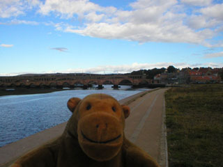 Mr Monkey on the quayside at Berwick