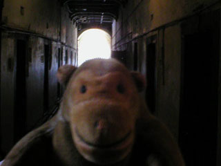 Mr Monkey in the old wing of Kilmainham