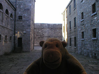 Mr Monkey in yard at Kilmainham