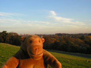 Mr Monkey looking from the Magazine Fort