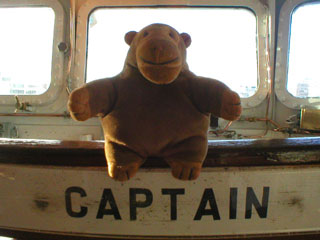 Mr Monkey sitting on the captain's chair