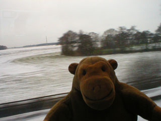 Mr Monkey looking at snowy fields