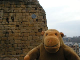 Mr Monkey beside a bit of medieval wall