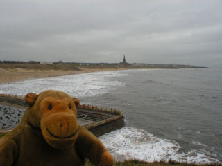 Mr Monkey looking from Tynemouth to Cullercoats