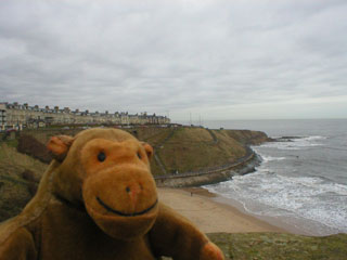 Mr Monkey on the cliff above Tynemouth beach
