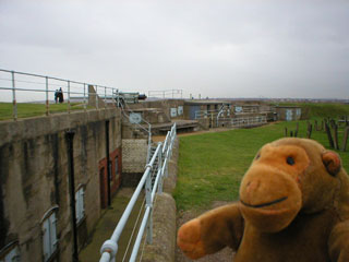 Mr Monkey approaching the gun battery