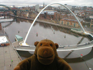 Mr Monkey looking down on Newcastle from the Baltic Art Centre