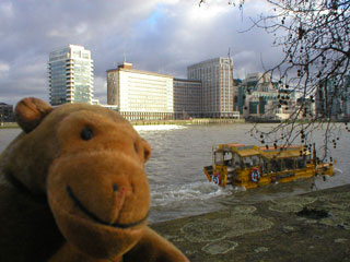 Mr Monkey watching a DUKW swim away