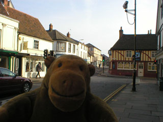 Mr Monkey walking through Ipswich